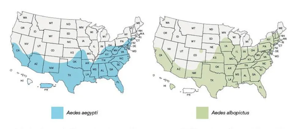 CDC's estimate of the likely domestic spread of the two Aedes mosquito species