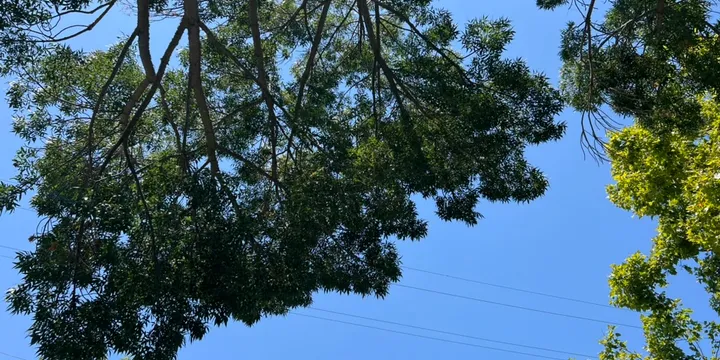 An image of a sky I took this month